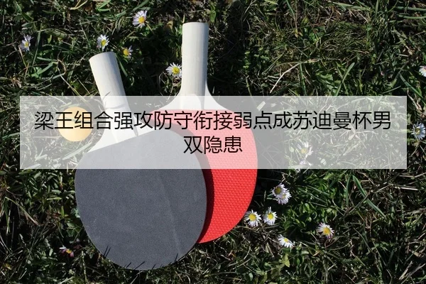 liang-wang-zu-he-qiang-gong-fang-shou-xian-jie-ruo-dian-cheng-su-di-man-bei-nan-shuang-yin-huan-2-149.jpg